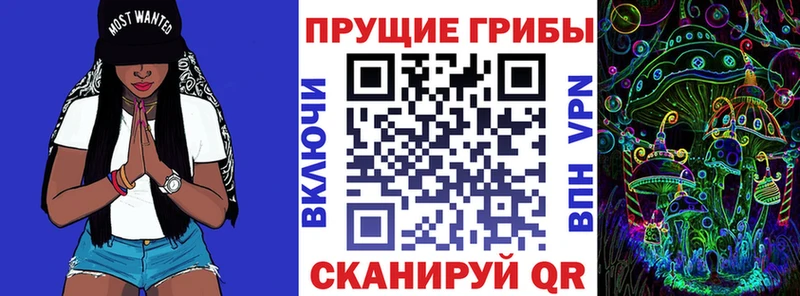 Псилоцибиновые грибы Psilocybe  Купить где  Богданович 